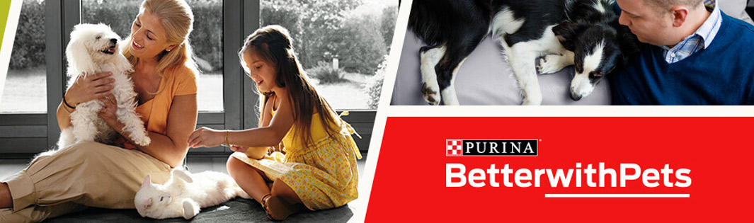 purina-chien-chat-marseille